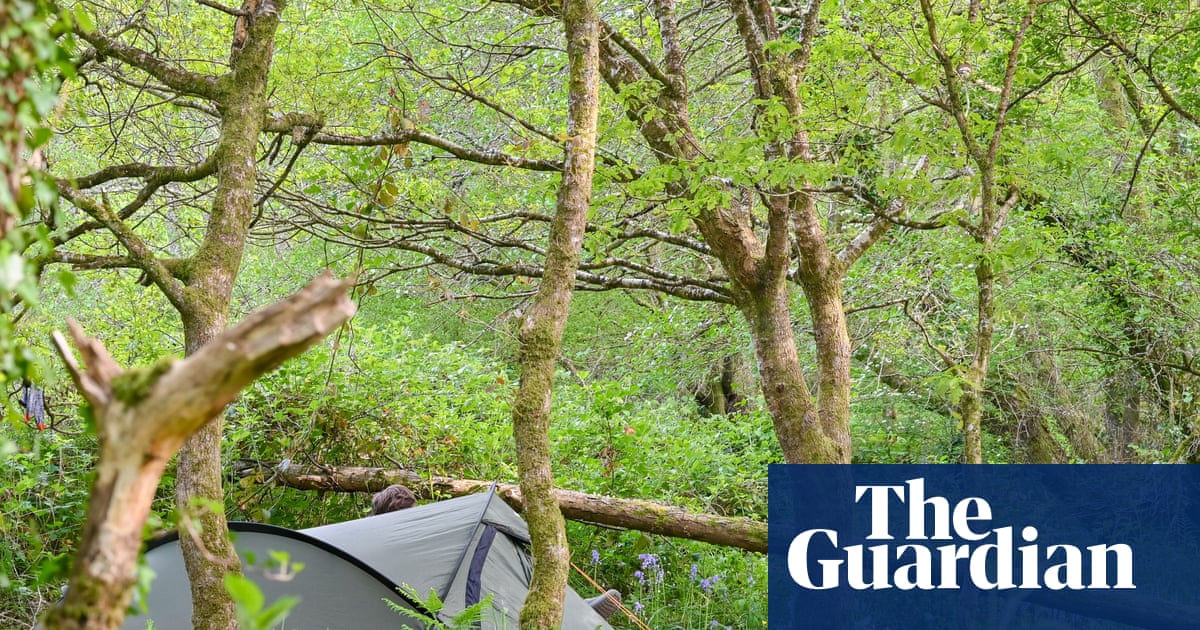 I camped in one of Britain’s last remaining rainforests